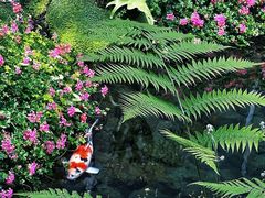 -罗红摄影艺术馆