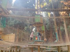 -武陵山森林公园