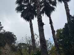 -长乐南山公园