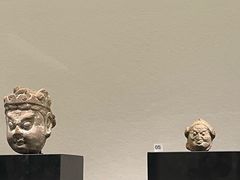 -四川大学博物馆