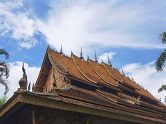 -西双版纳傣族园