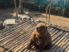 -济南野生动物世界