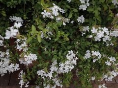 -悦哉·派对·草坪婚礼·围炉煮茶(三圣乡店)