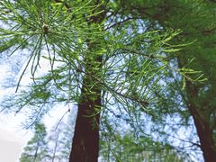 -南京市无想山景区