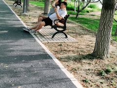 -大兴滨河森林公园