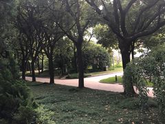 -宋庆龄陵园