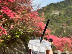 -木兰云雾山