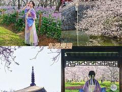 -武汉大学-樱园
