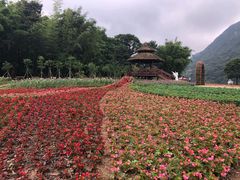 -广州市石门国家森林公园