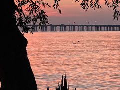 -宝安西湾红树林湿地公园