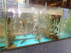 水产区-丹江渔村(首都机场店)