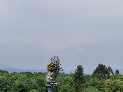 -都江堰玫瑰花溪谷