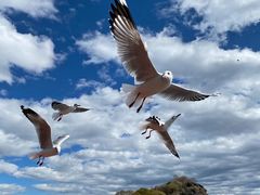 -丽江泸沽湖景区