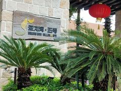 -三亚亚龙湾五号度假别墅酒店