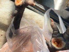 -大圩自在人土鸡场(大圩自在人垂钓店)