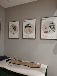 -歌曼丽草本减重