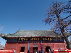 -天津大悲禅院