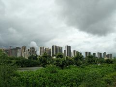 -大亚湾红树林城市湿地公园