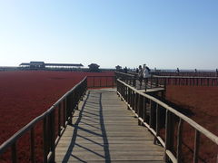 -红海滩国家风景廊道