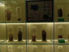 -广东中医药博物馆