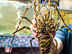 -巽寮印象美食部落餐厅·海鲜·地方特色菜(惠州体验店)
