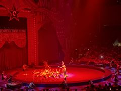 -珠海横琴长隆《卡卡虎奇遇记》