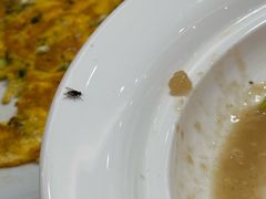 -阿湾楼·温州海鲜·江浙菜(京江路店)