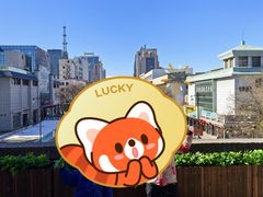 -迎宾楼(解放西街店)