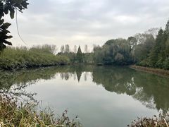 -溱湖国家湿地公园