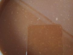 -盛宝粥店(建设街店)