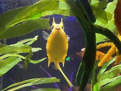 -沈阳海洋探索中心