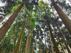 -青城山