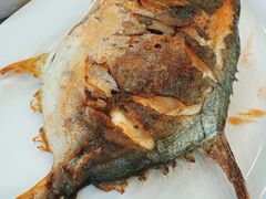 -新金盛·海鲜酒楼(盐田店)