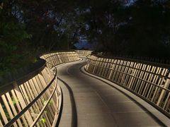 -福道