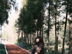 -上海长兴岛郊野公园