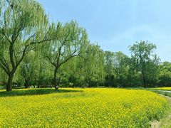 -北坞公园