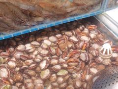 -港畔赶海蒸汽海鲜烧烤自助(仙螺岛店)