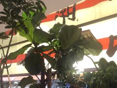 -桂满陇·蟹黄小笼汤包(中山公园店)