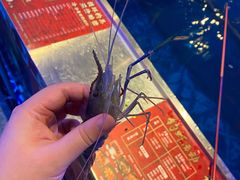 -钳真多钓虾馆·小龙虾海鲜烧烤(九六广场店)