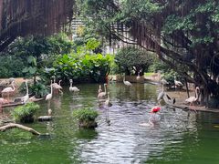 -九龙公园