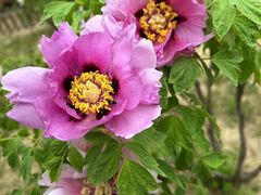 -江南大学(蠡湖校区)