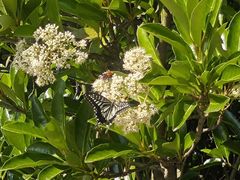 -南京市江宁方山
