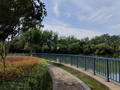 -合肥生态公园