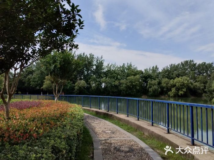 合肥生态公园图片