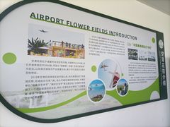 -空港花田景区