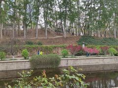 -元大都城垣遗址公园