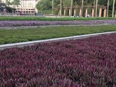 -南国桃园旅游度假区