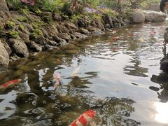 -罗红摄影艺术馆