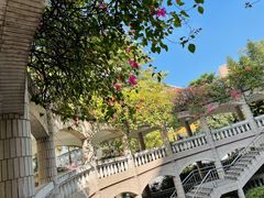 -南方医科大学南方医院(院本部)