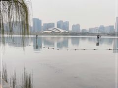 -天鹅湖体育公园